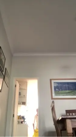 Desembalando compras