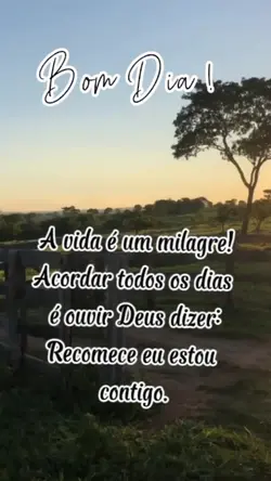 bom dia
