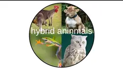 Hybrid animals!