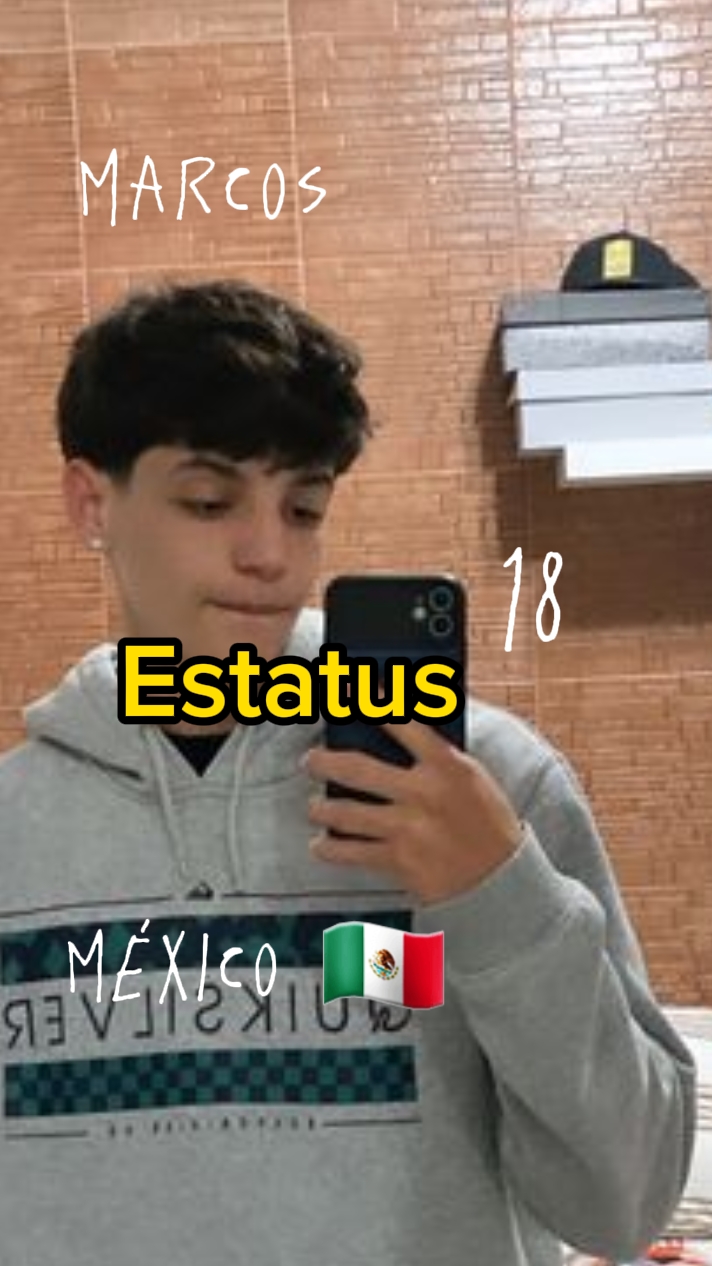 Plantilla de estatus