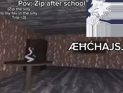 Pov: Zip after-
