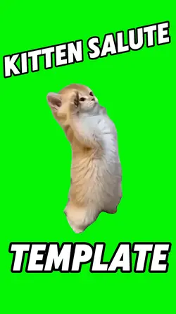 Kitten Salute