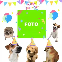 happy birthday dog