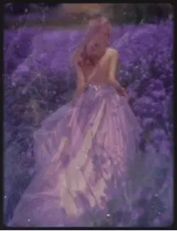 Lavenderfields
