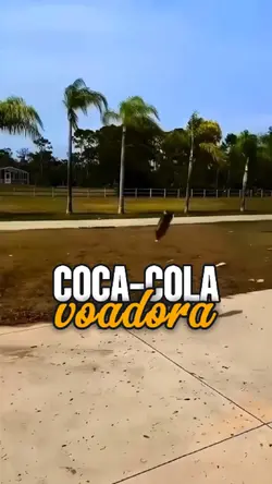 Coca Efeit