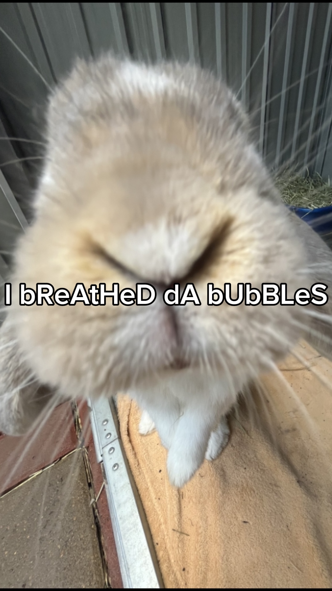 IT BURNE