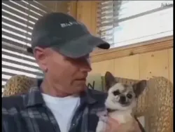 petting ur dog