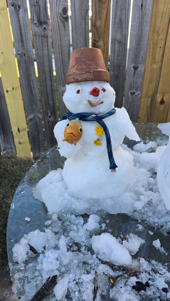 snowman2025