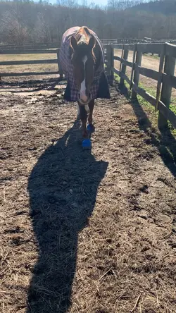 i’ve got you faith ❤️