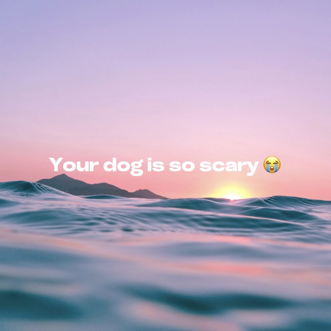 Your dog is scary