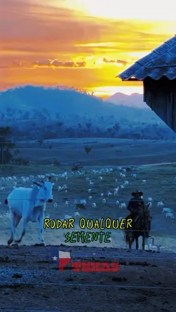 Aqui não falta chuva