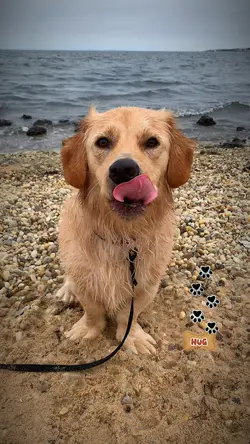 Pick one please 🩵💙