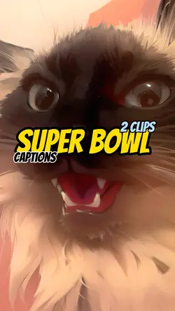 Super Bowl??