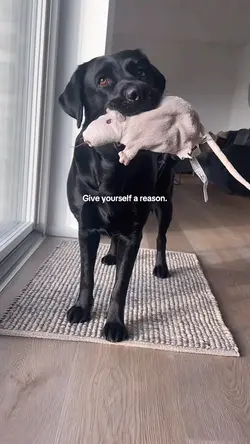 A reason ❤️