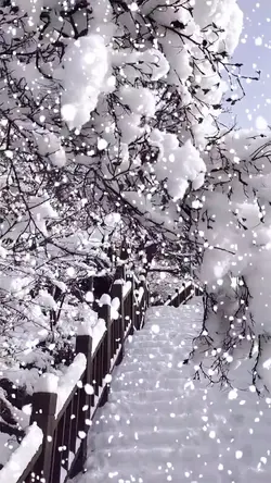 Great snow