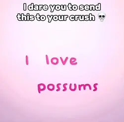 I Love Possums
