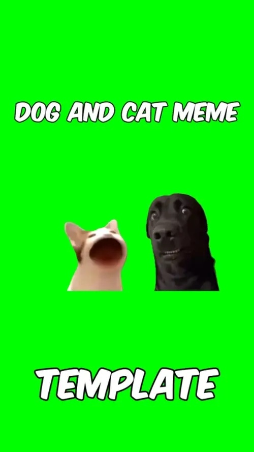 Meme de perro y gato 