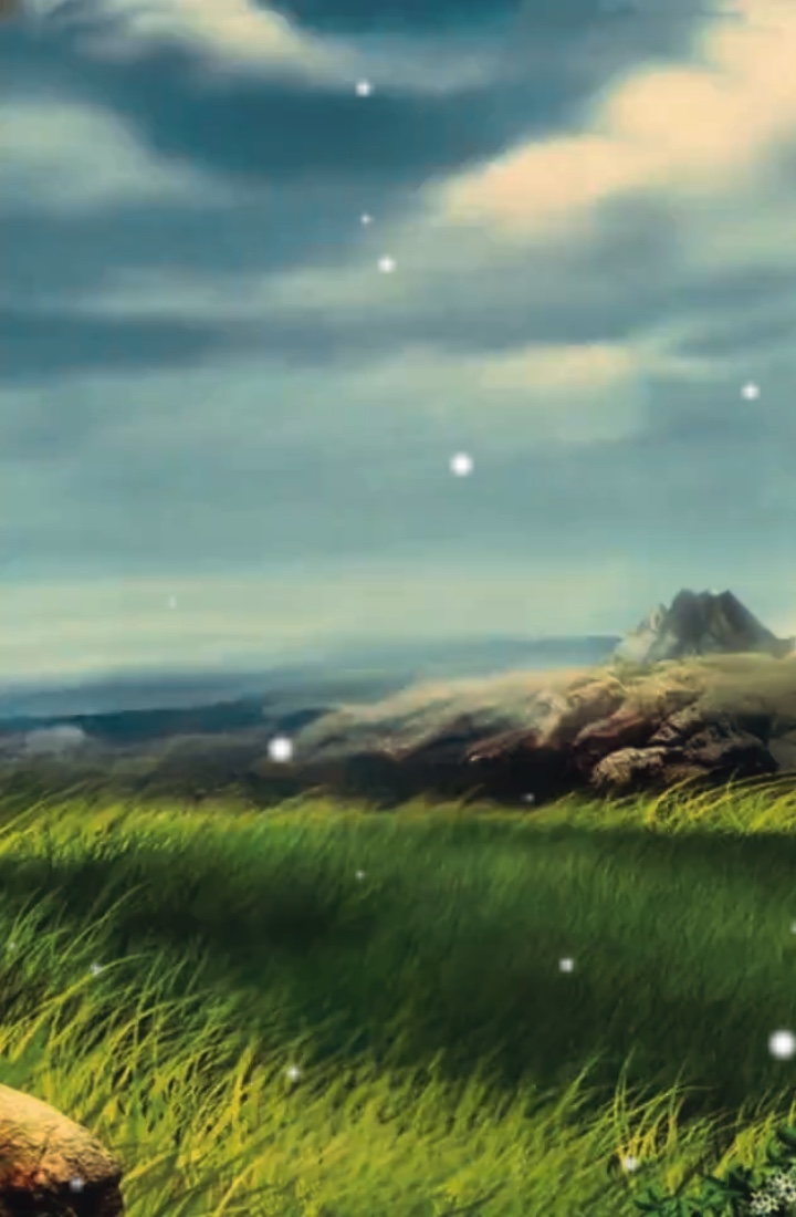 Cover Picture