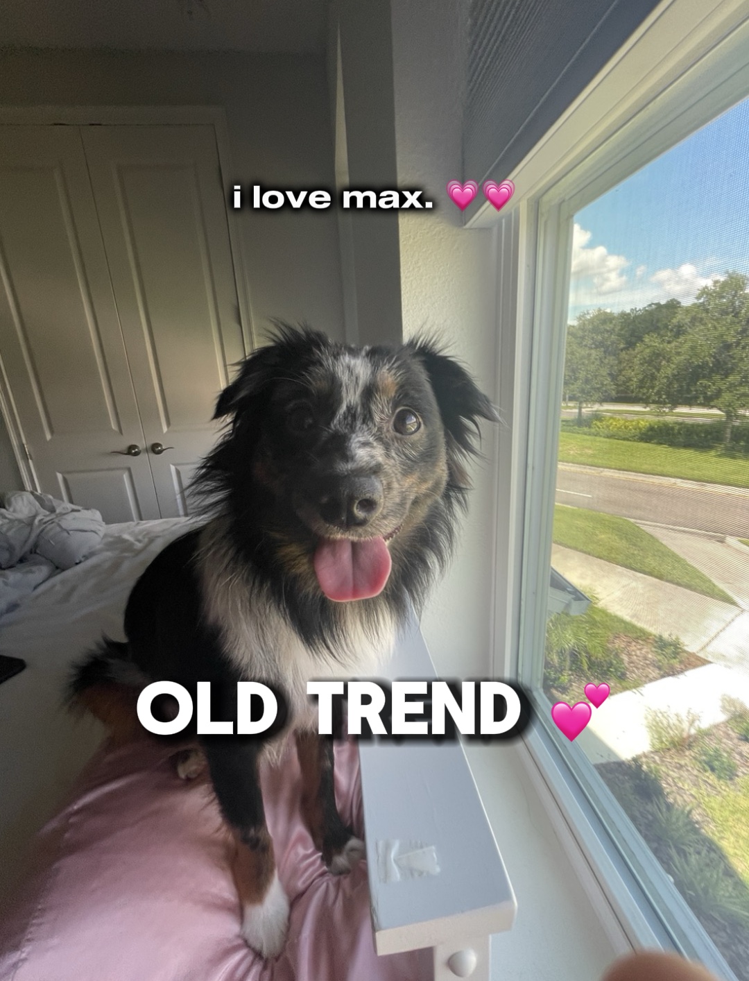 “M ” é para máximo. 💗💗