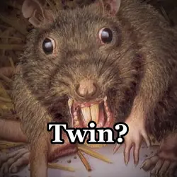 Ugly rat twin
