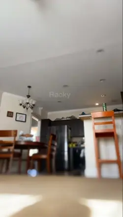 SILLY