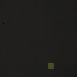 Five nights Freddy’s