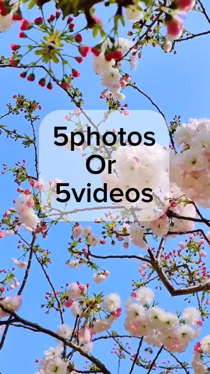 5photos/5videos
