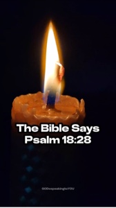 Salmos 18: 28