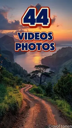 44 videos or photos 