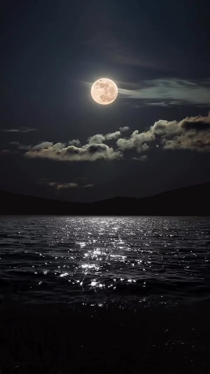 Noche 