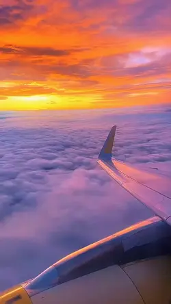 sunset view plane