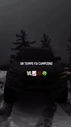 Un tiempo fui campsn