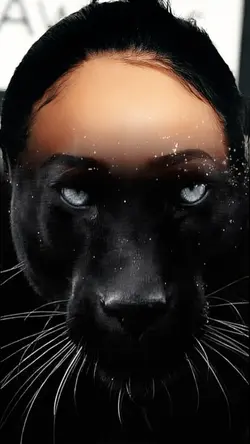 PANTERA NEGRA