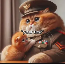 Sad cat story