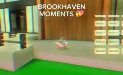 BROOKHAVEN MOMENTS 