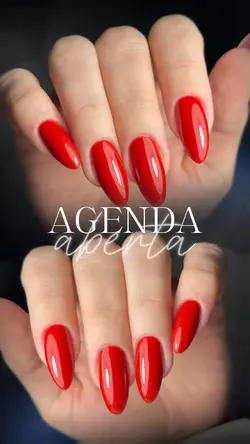 Agenda aberta 📆