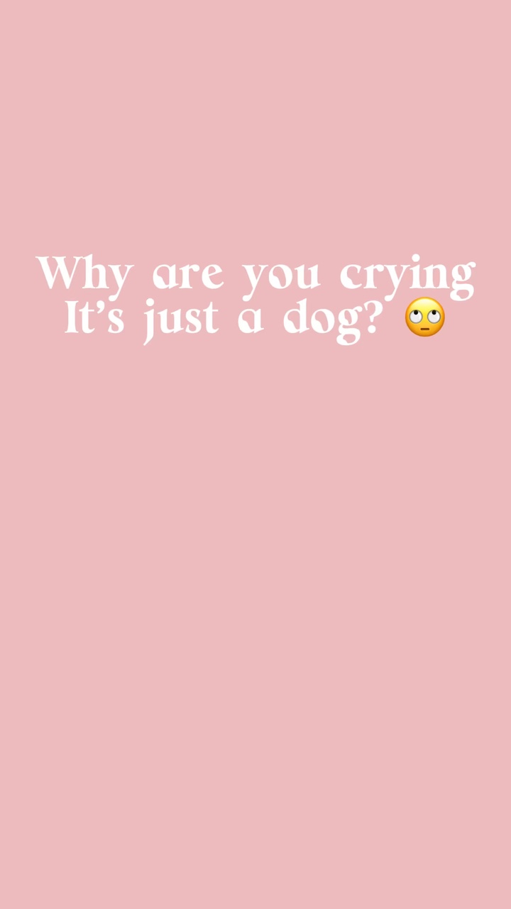 C'est juste un chien?