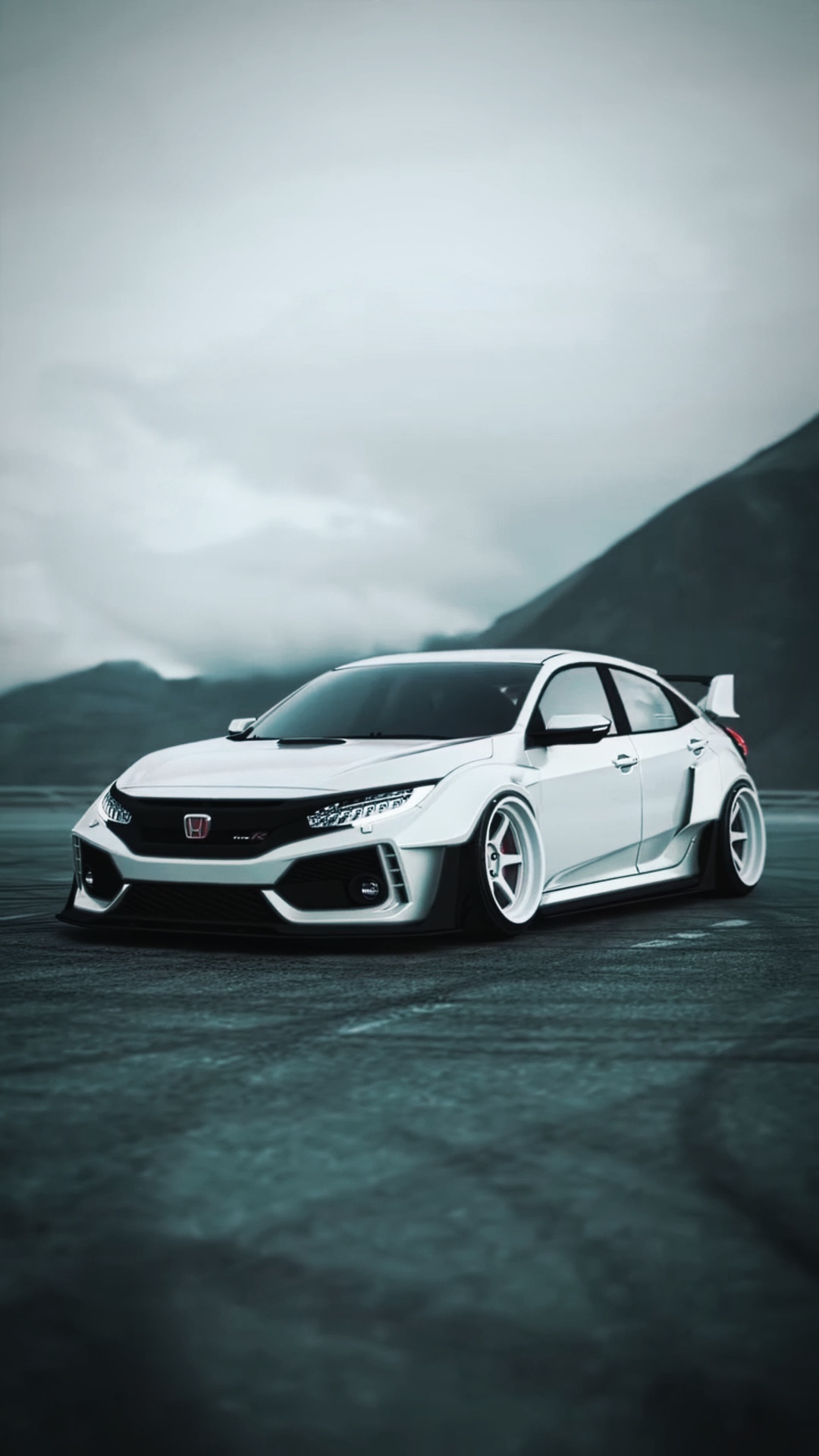 CAR TOP [10]