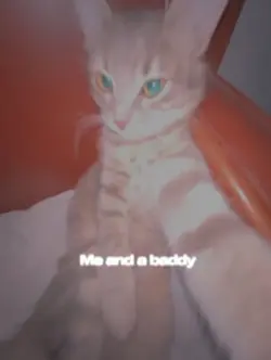 cat rizz