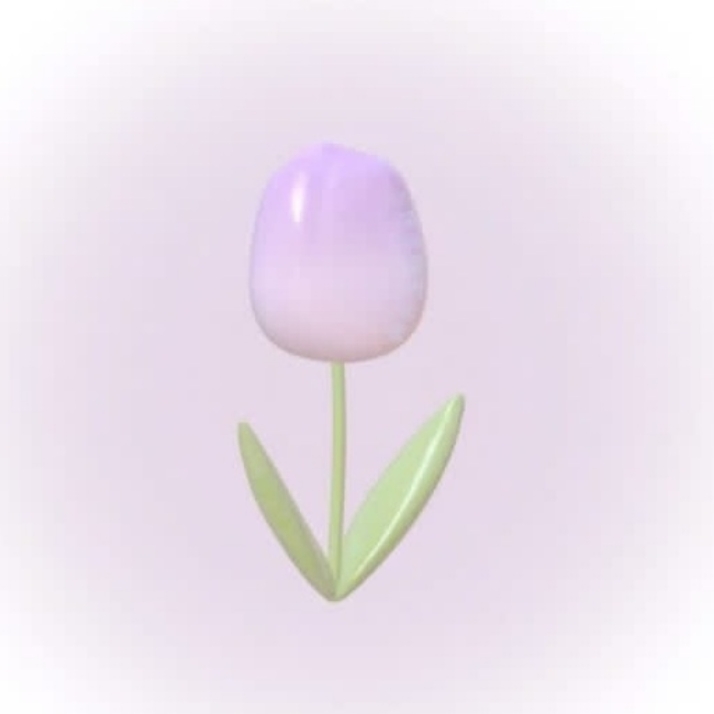 𝐅or : 𝐌ah 
