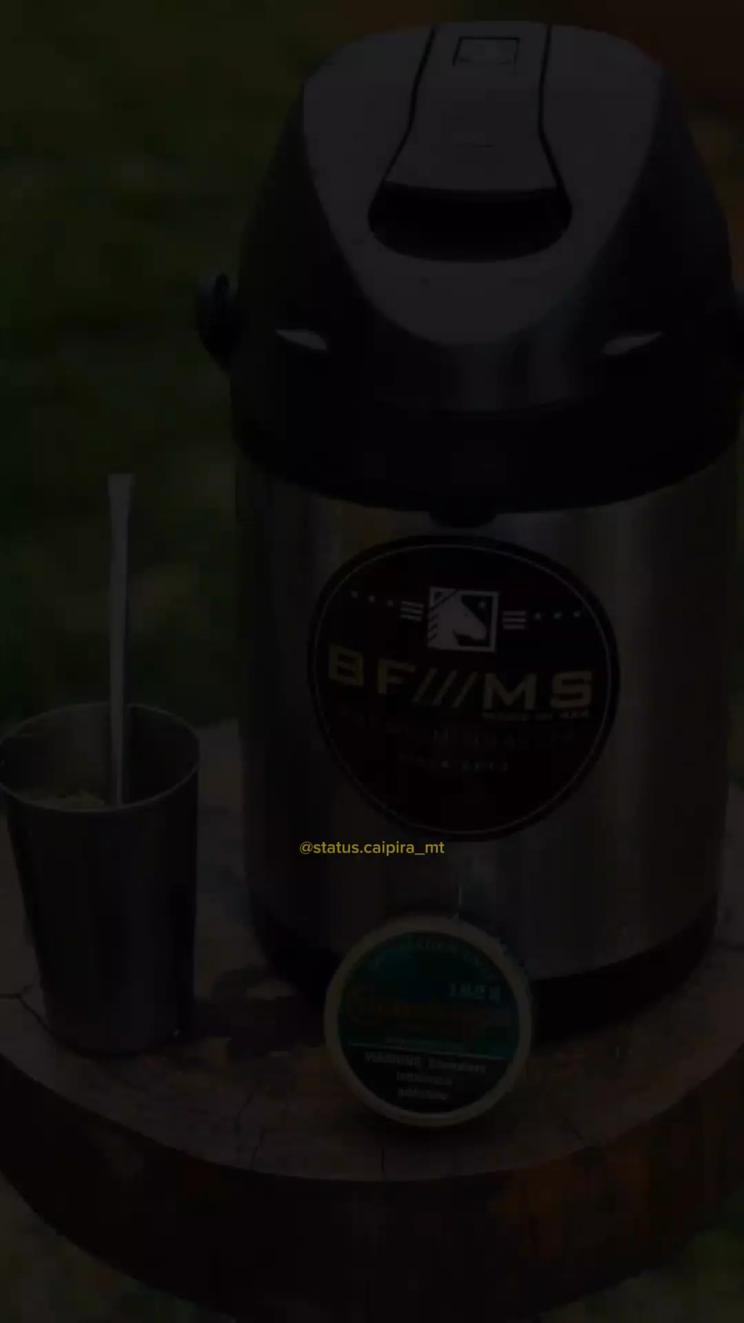 Ela dança como ningu