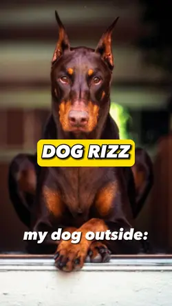 Dog Rizz