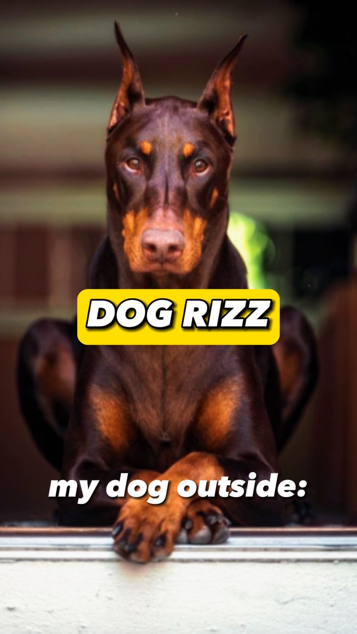 Hund Rizz