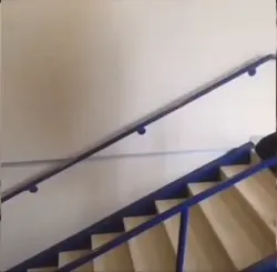 Vine