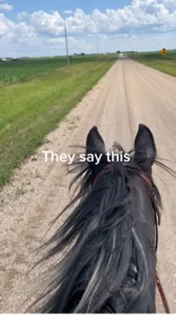 Trottin