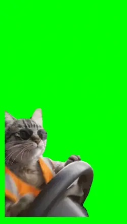 Ridin' Dirty Cat