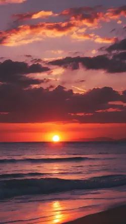 Ella Es Mi Cómplice