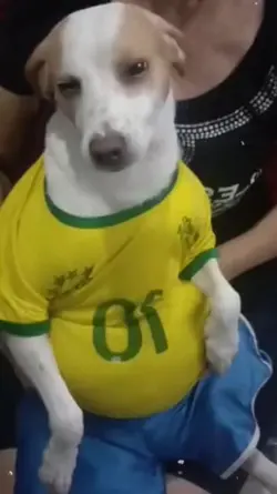 casamento Ronaldo kk