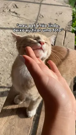 Meu pet é tão lindo❤️🩹