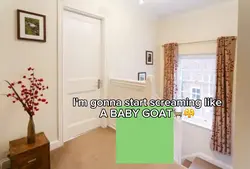 Stop Bothering Me😤